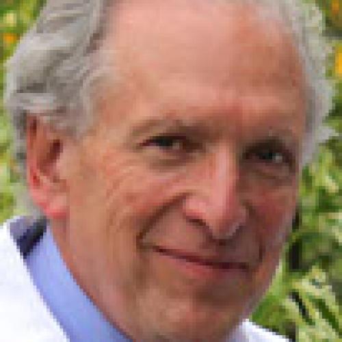 Salesin, Michael, M.D.